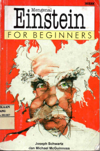 Mengenal Einsteins For Beginners