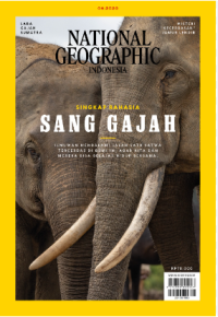 NATIONAL GEOGRAPHIC INDONESIA : SANG GAJAH