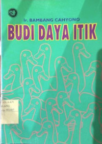 Image of Budi Daya Itik