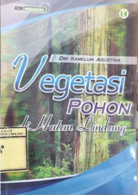 Image of Vegetasi Pohon Di Hutan Lindung